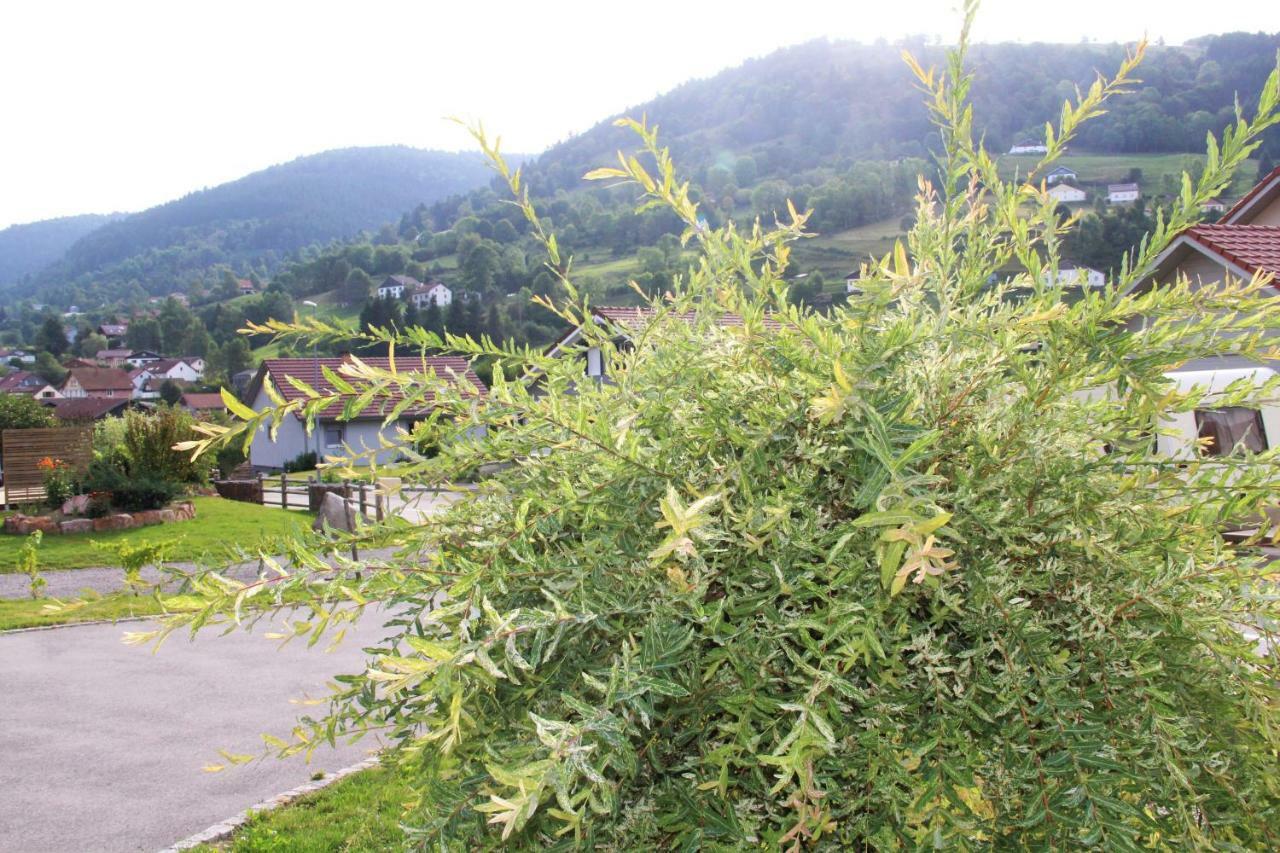 Gite Les Cimes Villa La Bresse Exterior photo